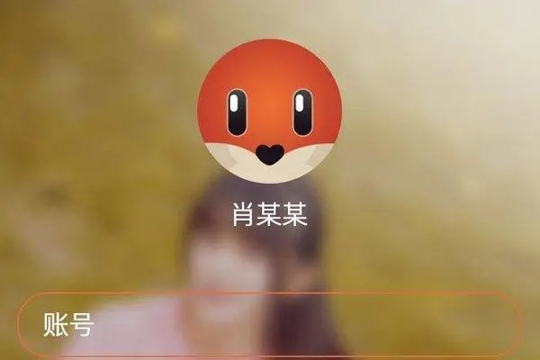 找回探探账号手机号？